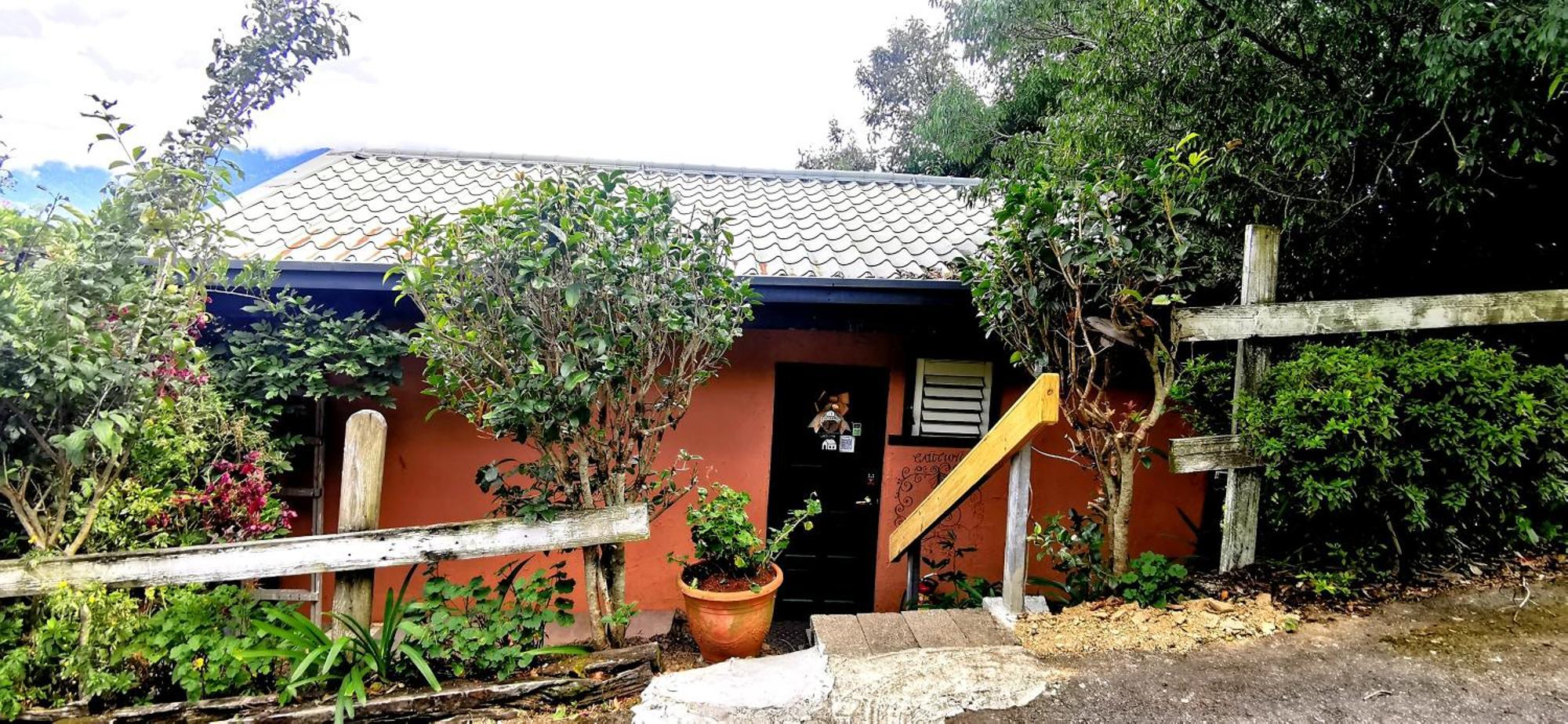 仁爱乡 清境白熊屋旅馆 外观 照片